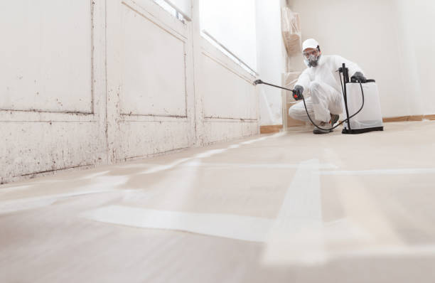 24/7 Emergency Attic Mold Remediation experts in North Port, FL
